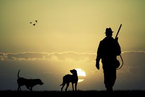Jäger mit zwei Jagdhunden vor Sonnenuntergang